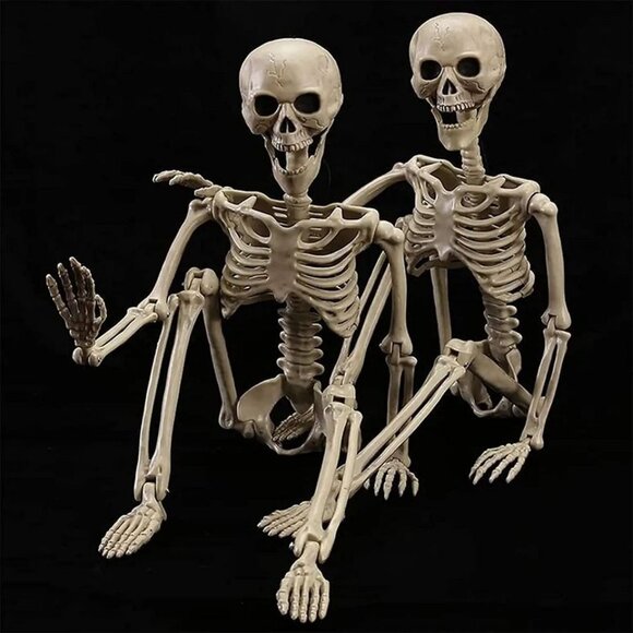 2 Pack 40 Inches Halloween Skeleton Life Size Full Body Posable Movable Jonints